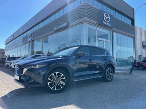 165CV NEWGROUND MT (ECO)