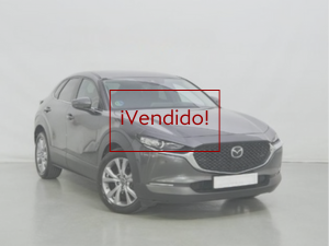 CX30 (1)